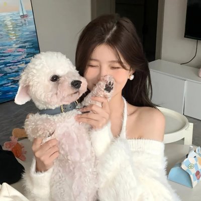 废柴联盟第六季
